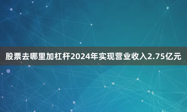 股票去哪里加杠杆2024年实现营业收入2.75亿元