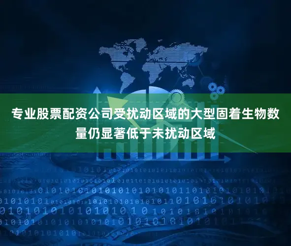 专业股票配资公司受扰动区域的大型固着生物数量仍显著低于未扰动区域